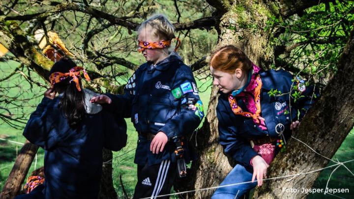 Flok i Oksbøl Gruppe