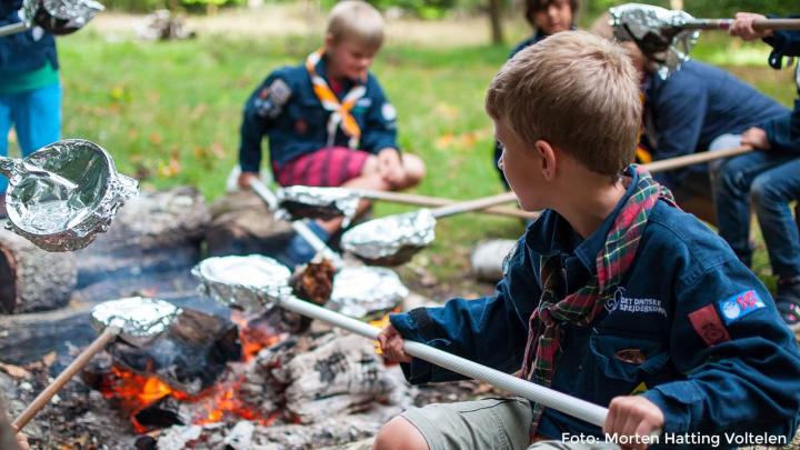 Mikroer i Oksbøl Gruppe
